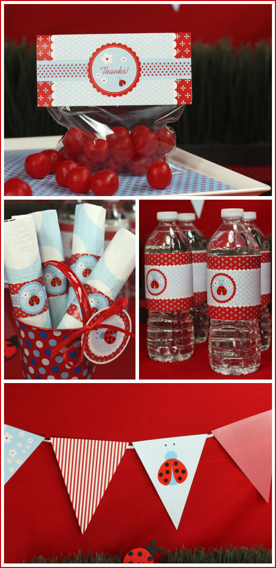 Ladybug Birthday Collection by The Celebration Shoppe Ladybug Birthday Collection by The Celebration Shoppe