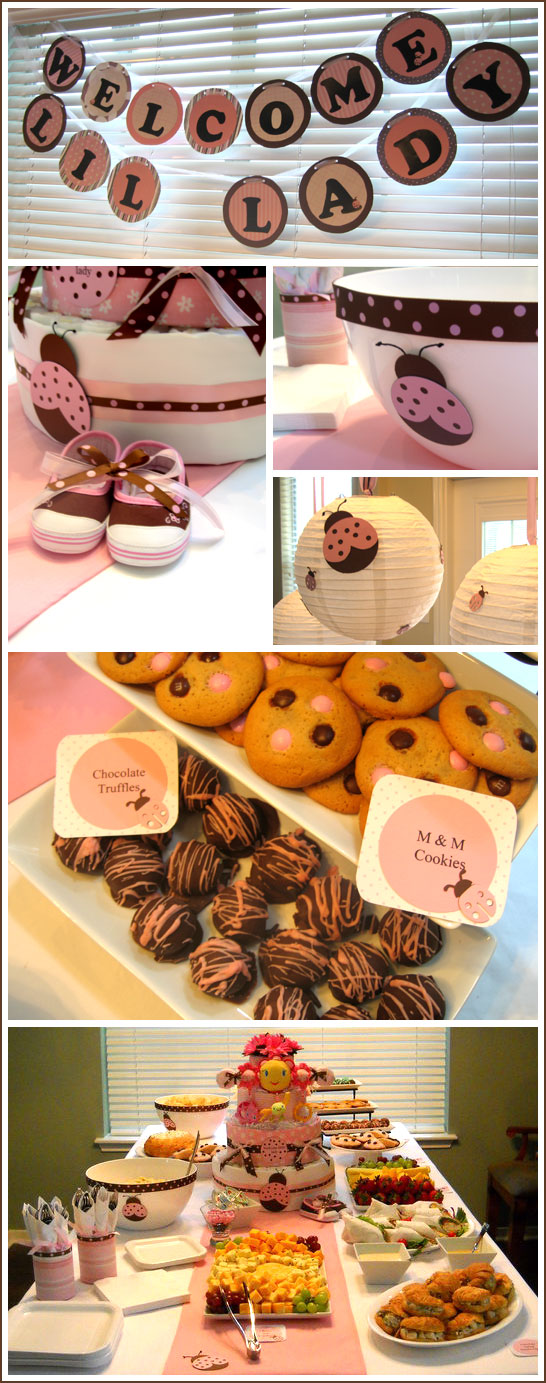 Ladybug Baby Shower in Pink & Brown