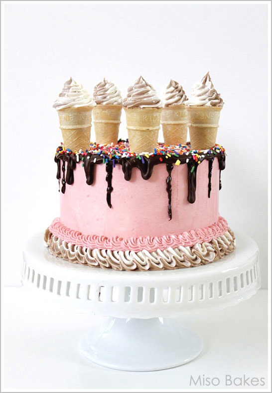 Modern Ice Cream Cake by Miso Bakes Modern Ice Cream Cake by Miso Bakes