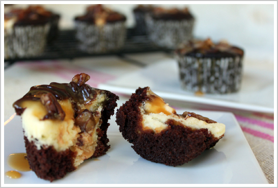 Chocolate Cheesecake Turtle Cupcake Recipe Chocolate Cheesecake Turtle Cupcake Recipe