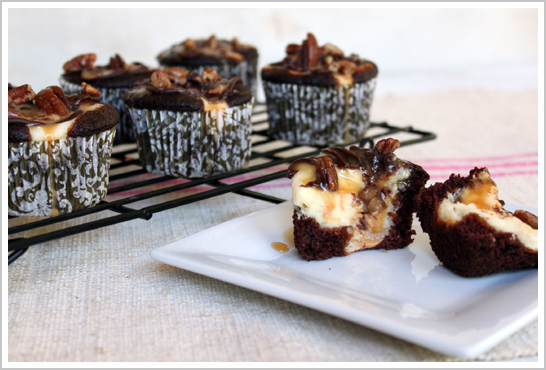 Chocolate Cheesecake Turtle Cupcake Recipe Chocolate Cheesecake Turtle Cupcake Recipe