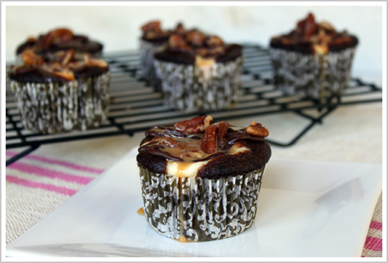 Chocolate Cheesecake Turtle Cupcake Recipe Chocolate Cheesecake Turtle Cupcake Recipe
