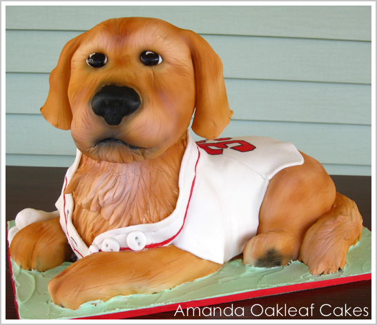 3D Dog Cake by Amanda Oakleaf Cakes