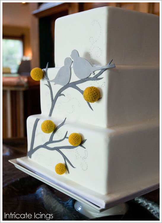 Billy Balls and Birds Cake