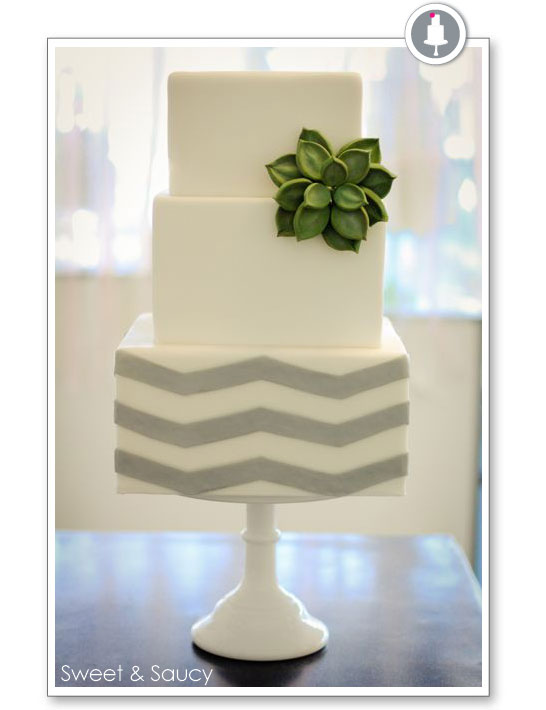 Chevron & Succulent Cake by Sweet & Saucy