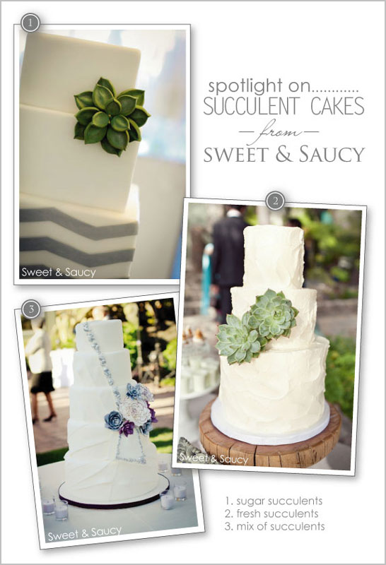 Succulent Cakes by Sweet & Saucy