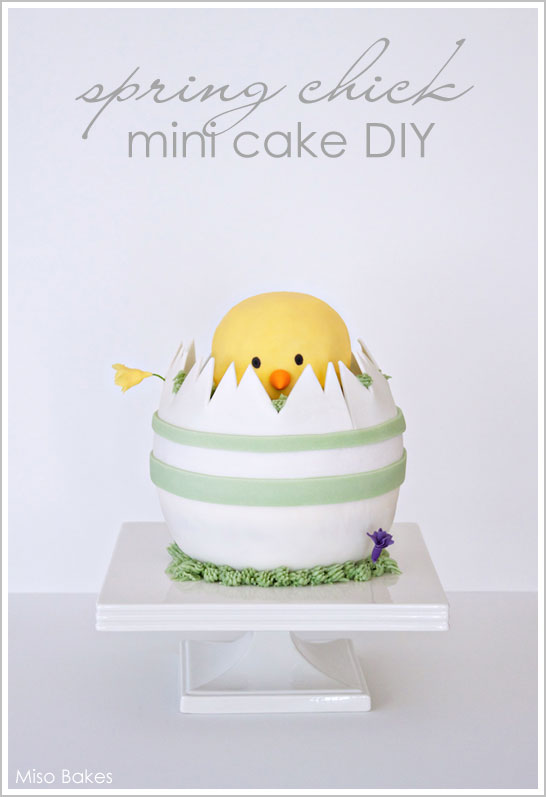 Spring Chick - Mini Easter Cake DIY Spring Chick - Mini Easter Cake DIY