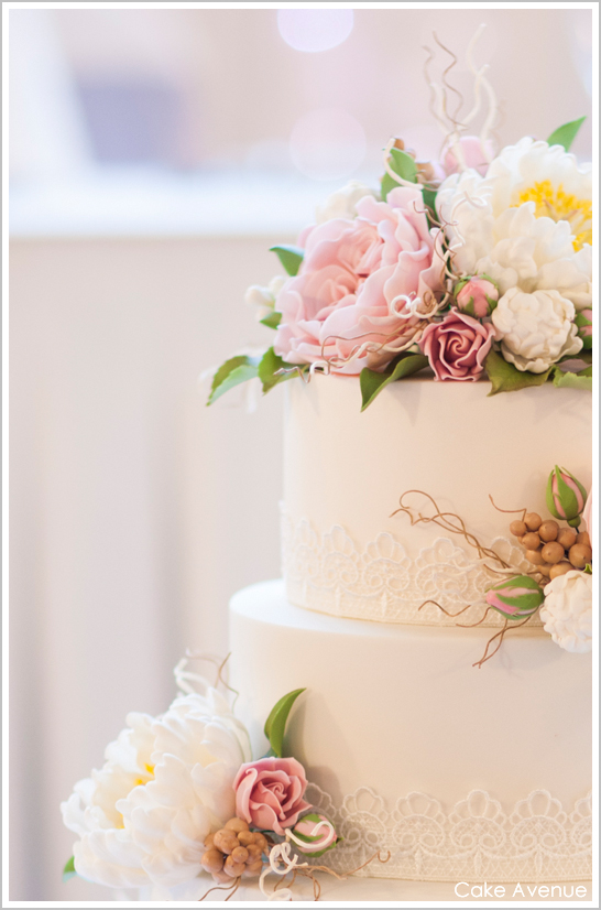 David Austin Sugar Roses & Peonies David Austin Sugar Roses & Peonies